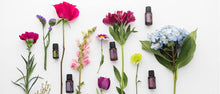 Load image into Gallery viewer, DoTERRA | Essential Oils